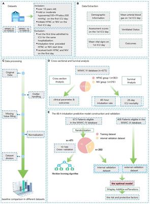 Prognostic analysis of high-flow nasal cannula therapy and non-invasive ventilation in mild to moderate hypoxemia patients and construction of a machine learning model for 48-h intubation prediction—a retrospective analysis of the MIMIC database